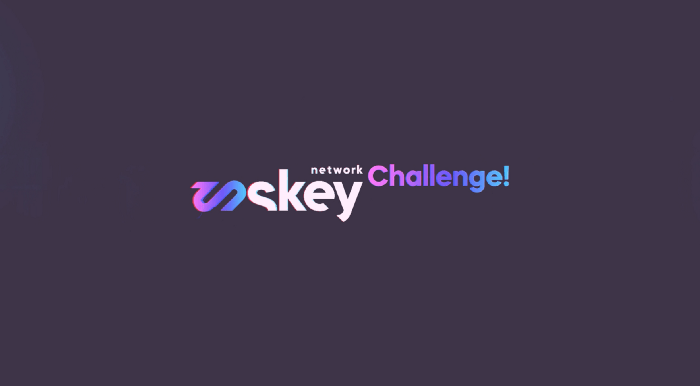Wyróżnienie w konkursie Skey Network Challenge